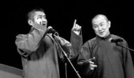 苗阜王声爆料视频,独家爆料视频背后的故事