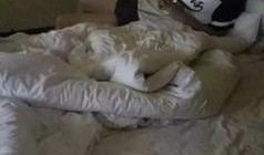 前女友爆料做饭视频大全,那些令人垂涎的做饭瞬间大盘点