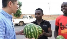 黑了吃瓜网免费下载,揭秘热门资源一键获取的秘密