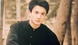 杨洋爆料娱乐圈视频合集,独家爆料视频合集大揭秘